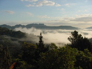 Nebel